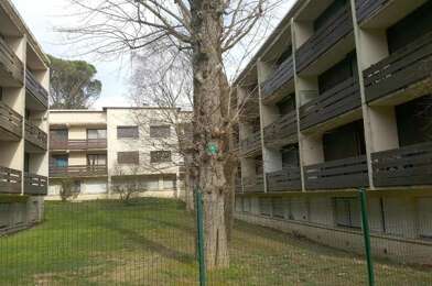 Appartement 1 pièces 365 €