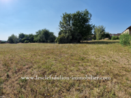 AUTHENTIQUE CLOS GÂTINAIS AVEC DÉPENDANCES — photo 4
