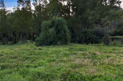 Terrain  254000 €