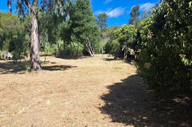 Terrain  380000 €
