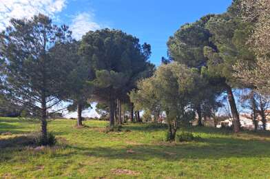 Terrain  235000 €