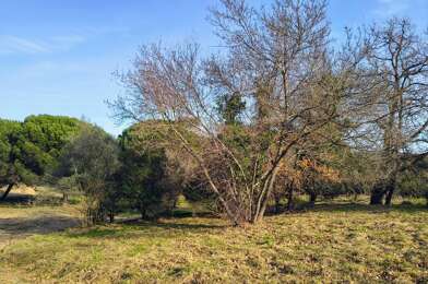 Terrain  252500 €