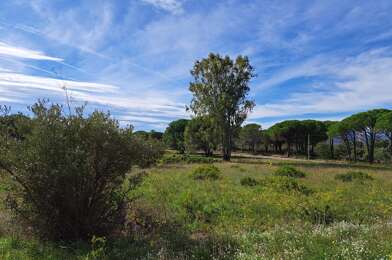 Terrain  250000 €