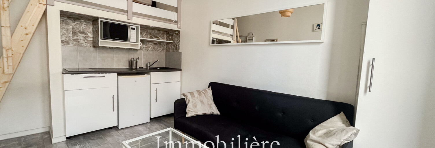 Appartement 1 Pièce 24 m² à louer à Lyon 7 (69007)