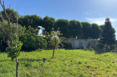 Terrain  60000 €