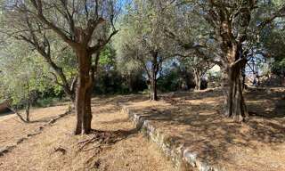 Terrain 850 m² à construire Grasse (06130)