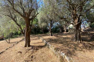 Terrain  235000 €