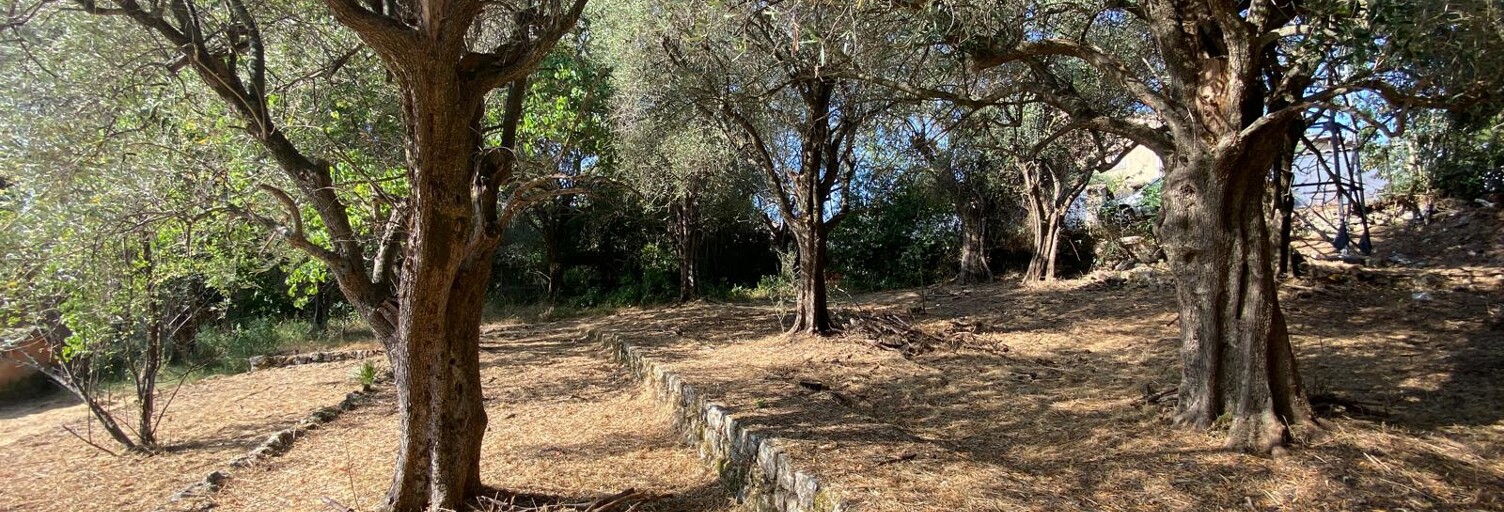 Terrain 850 m² à construire Grasse (06130)