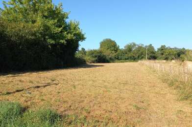 Terrain  35000 €