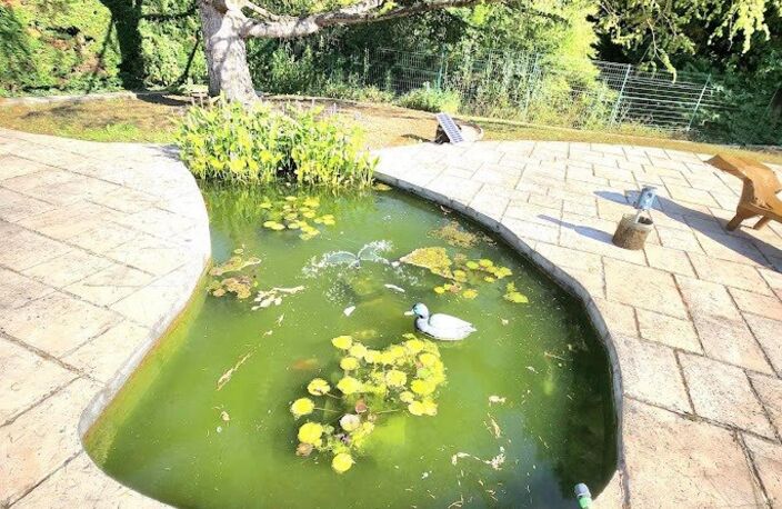 MAGNIFIQUE MAISON MONTAGNY CALME — photo 4