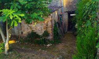 Photo N° 2