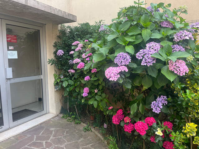 Appartement  4 pièce(s) 68.34 m2 — photo du bien