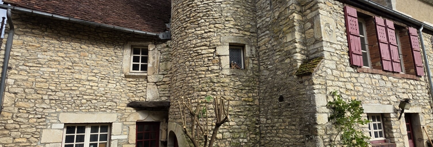 Maison 11 Pièces 276 m² à vendre à Druyes-les-Belles-Fontaines (89560)