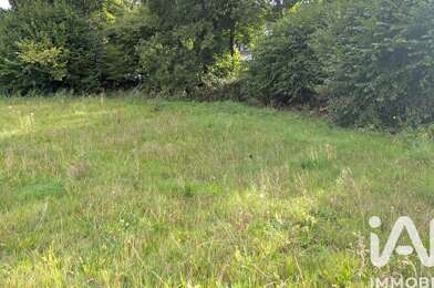 Terrain  50000 €