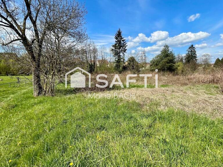 Terrain — photo 1