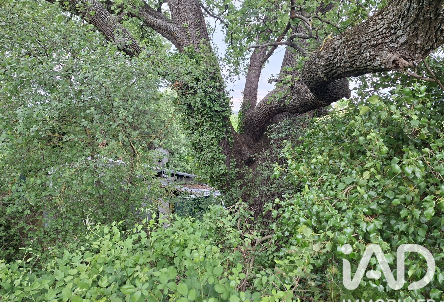 Vente Terrain 4 030 m&sup2; — photo 1