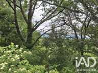 Vente Terrain 4 030 m&sup2; — photo 3