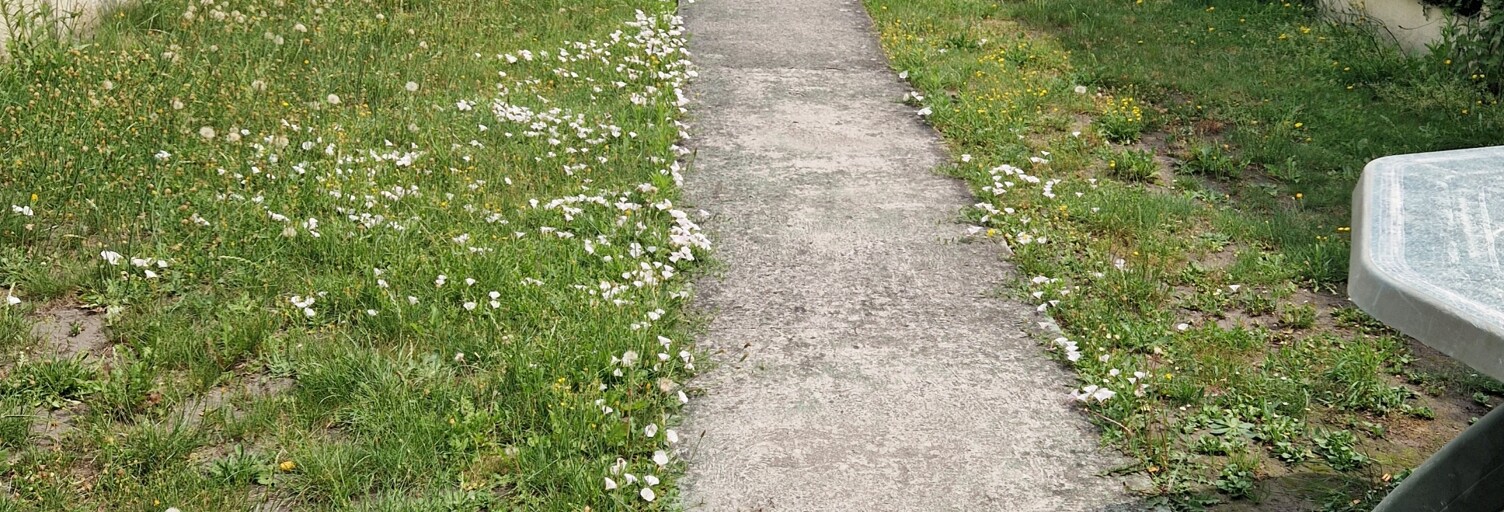 Photo N° 2