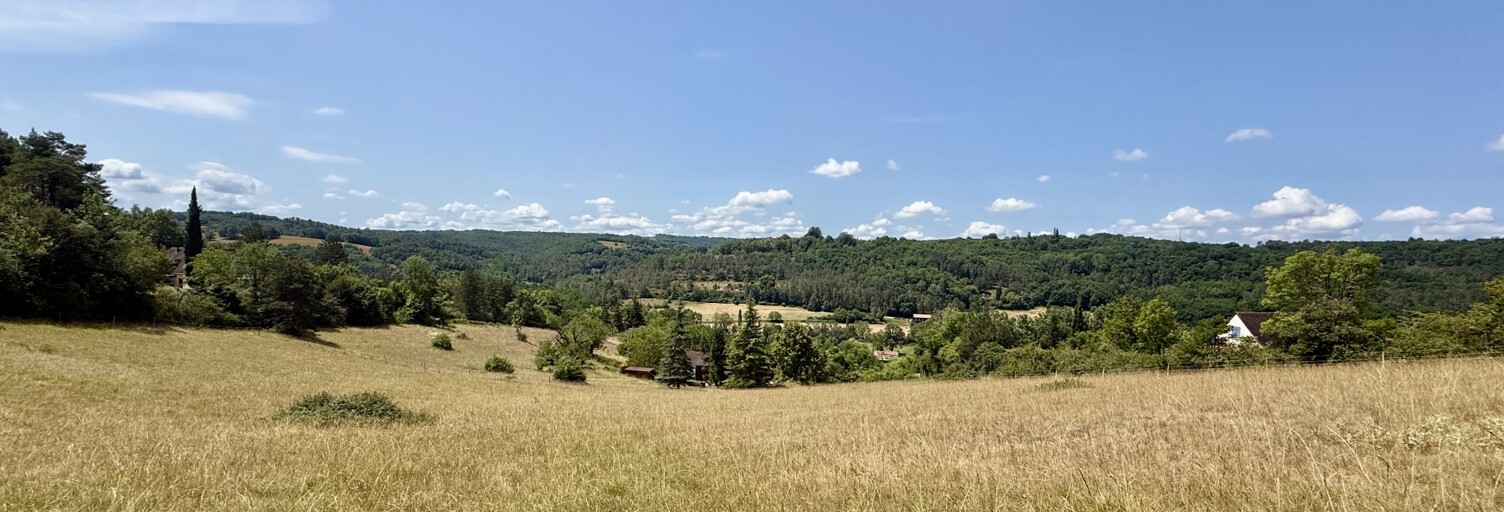Terrain  12279 m² à vendre à Plazac (24580)