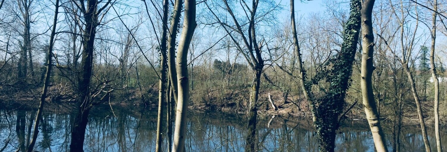 Terrain  19190 m² à vendre à Dommartin-lès-Toul (54200)