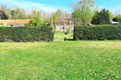 Terrain  175000 €