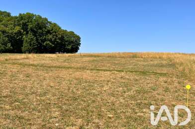 Terrain  31000 €