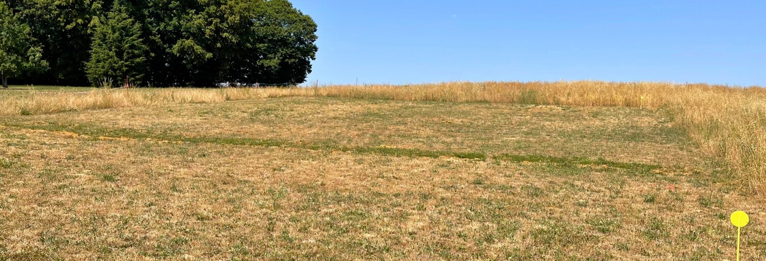 Terrain  894 m² à vendre à Saint-Martin-d'Auxigny (18110)