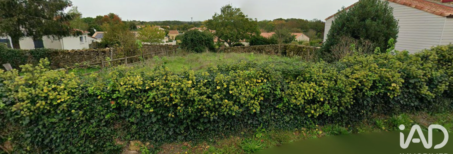 Photo N° 2