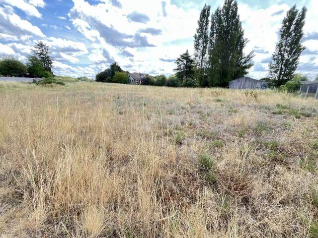 Terrain 3600 m² à Noyers-sur-Cher — photo du bien