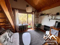 A LOUER T2 EN DUPLEX BELLEVAUX — photo 2