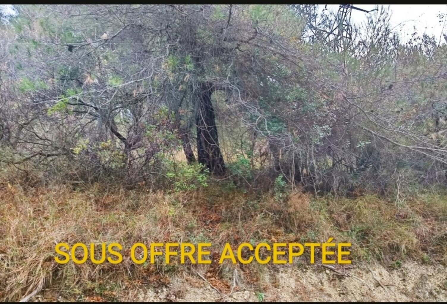 Terrains de loisirs à vendre e de 7 769,00 m² PEILLE (06) — photo 1