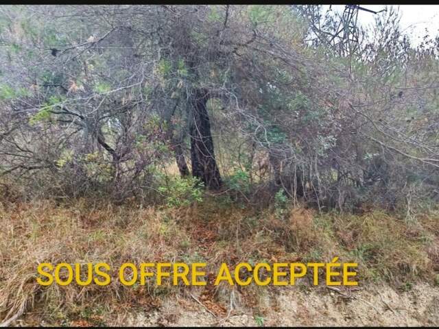 Terrains de loisirs à vendre e de 7 769,00 m² PEILLE (06) — photo du bien