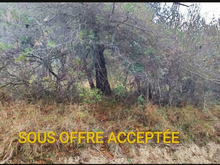 Terrains de loisirs à vendre e de 7 769,00 m² PEILLE (06) — photo 1