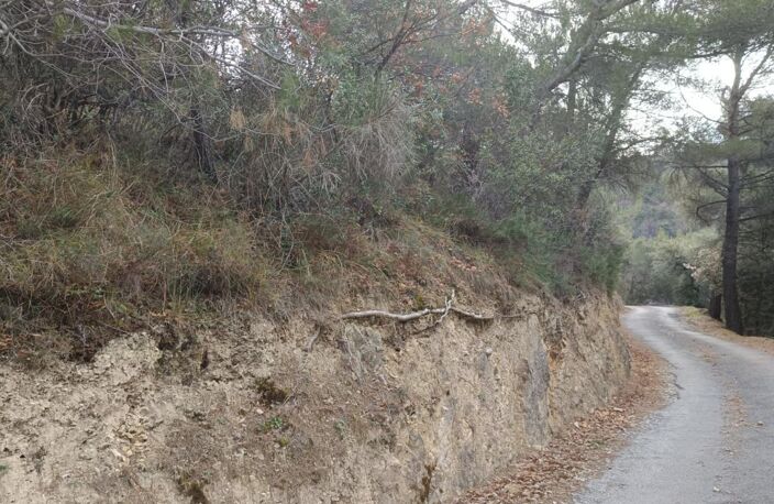 Terrains de loisirs à vendre e de 7 769,00 m² PEILLE (06) — photo 2