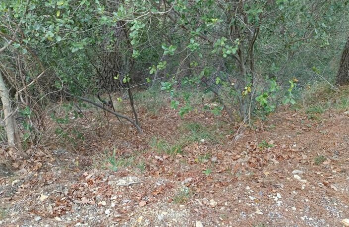 Terrains de loisirs à vendre e de 7 769,00 m² PEILLE (06) — photo 3