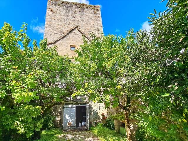 SAUVETERRE DE BEARN (64) — photo du bien