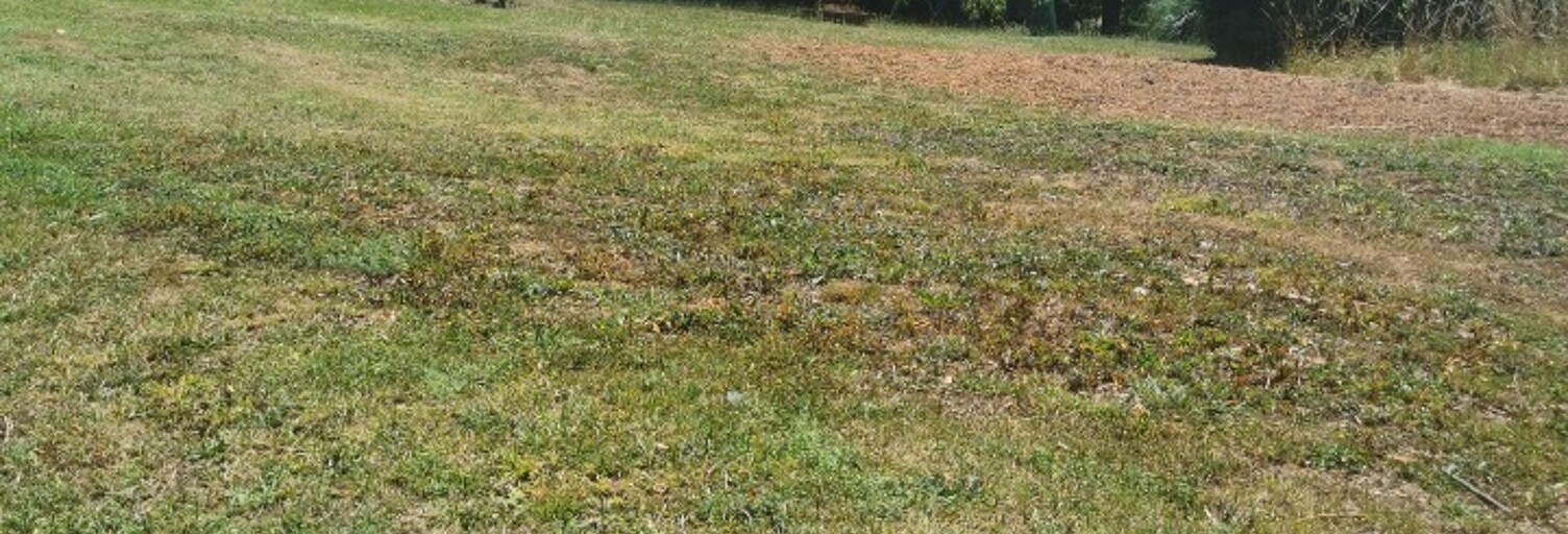 Terrain  443 m² à vendre à Langon (33210)