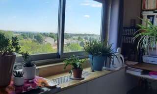 Appartement 1 Pièce 18 m² à louer à Gradignan (33170)