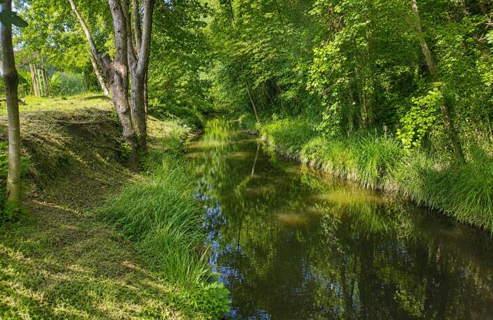 Maison familiale 5 chambres au calme, sans vis-à-vis, avec piscine et rivière en fond de jardin — photo 4