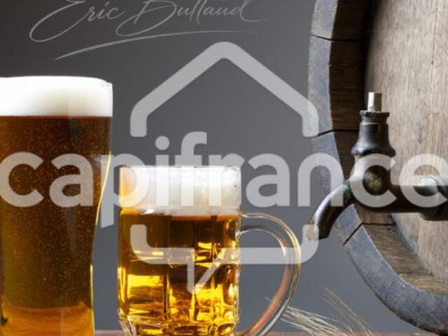 A VENDRE RESTAURANT LICENCE 4 JONAGE (69) — photo du bien