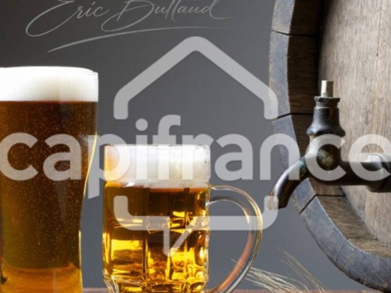 A VENDRE RESTAURANT LICENCE 4 JONAGE (69) — photo 1