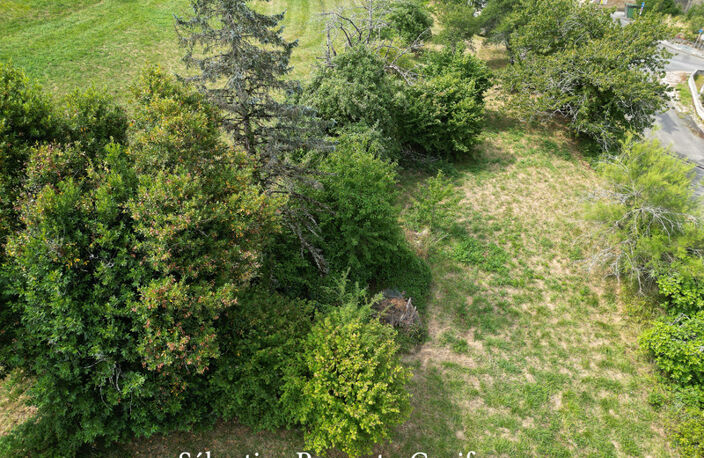 Terrain à vendre  NANTHIAT (24), ensemble foncier, terrain avec CU et bois secteur bourg, bassin sur le terrain. 9839m2 — photo 4