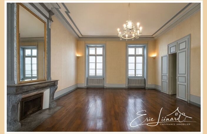 à vendre SAINT MAIXENT L'ECOLE (79) propriété P12 de 446 m² - Terrain de 2 152 m² — photo 5