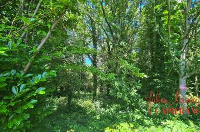 Terrain  41000 €