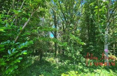 Terrain à vendre  SCAER (29) - Environ 4,5 Ha — photo du bien