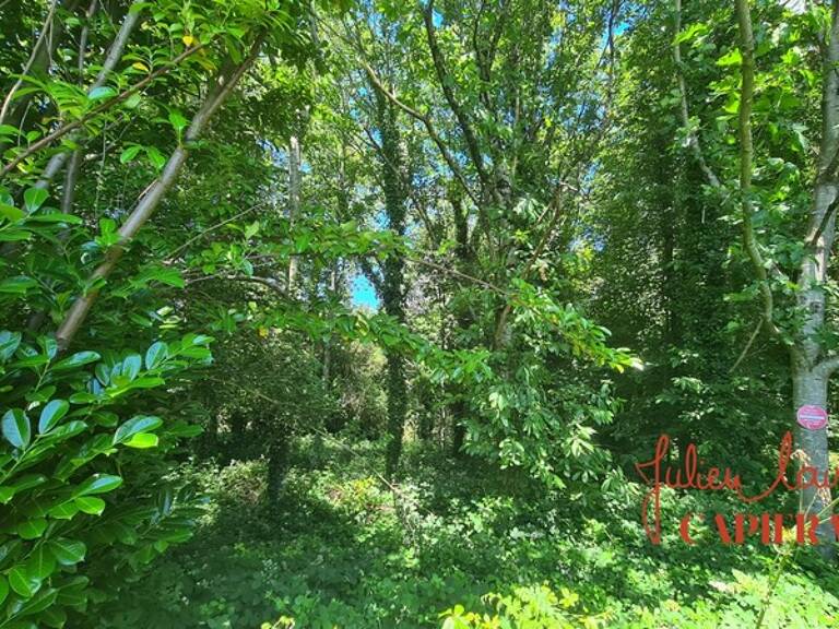 Terrain à vendre  SCAER (29) - Environ 4,5 Ha — photo 1