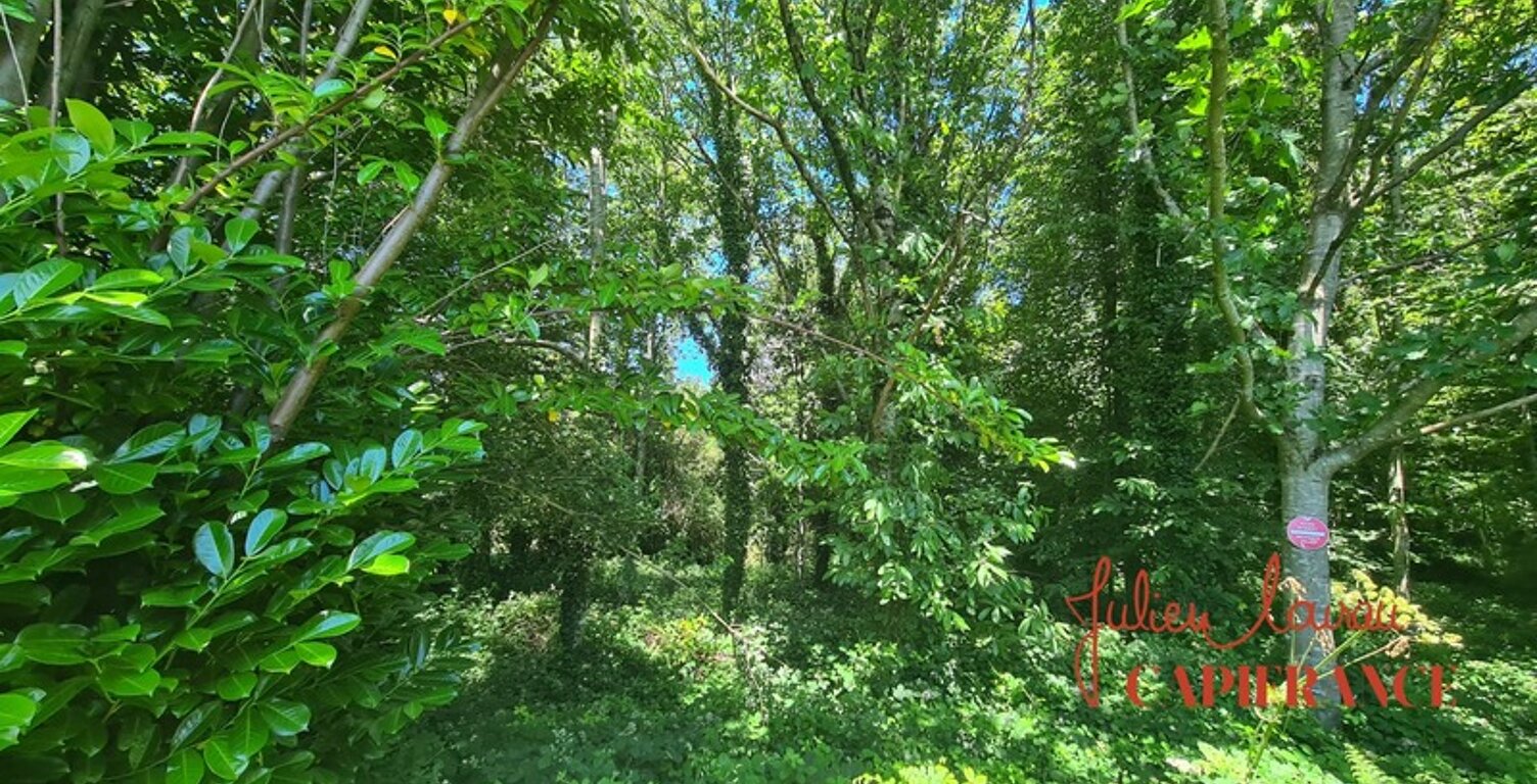 Terrain à vendre  SCAER (29) - Environ 4,5 Ha — photo 1