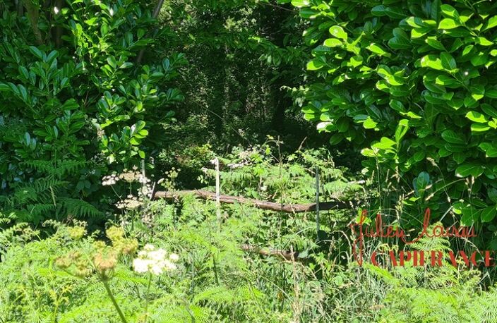 Terrain à vendre  SCAER (29) - Environ 4,5 Ha — photo 2