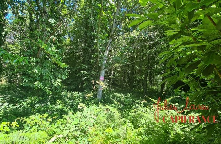 Terrain à vendre  SCAER (29) - Environ 4,5 Ha — photo 3