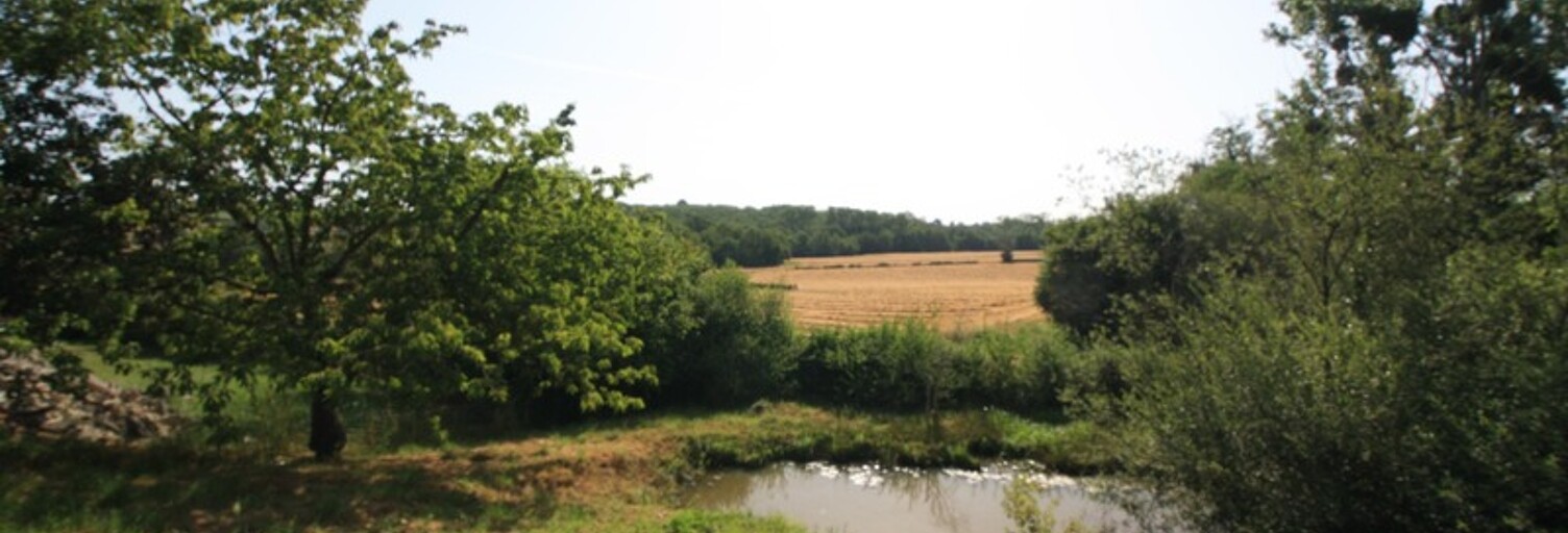 Terrain  2339 m² à vendre à Saint-Léger-sur-Vouzance (03130)